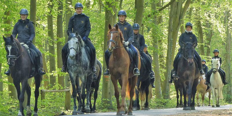Reiterferein im Bernsteinschloss im Mecklenburger Seenland