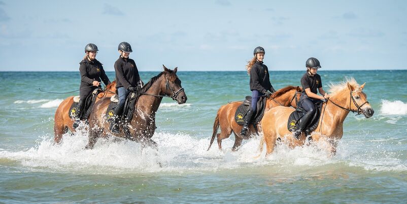 Reiturlaub mit Ausritten am Meer
