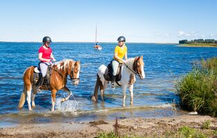Reiterferien in Barth bei den Bernsteinreitern