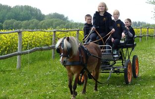 Ausflugstipp Familienurlaub an der Ostsee