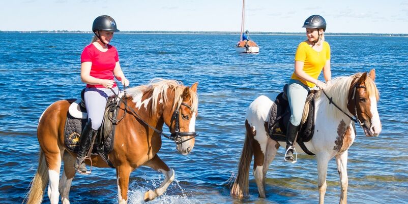 Reiturlaub mit Ausritten am Wasser