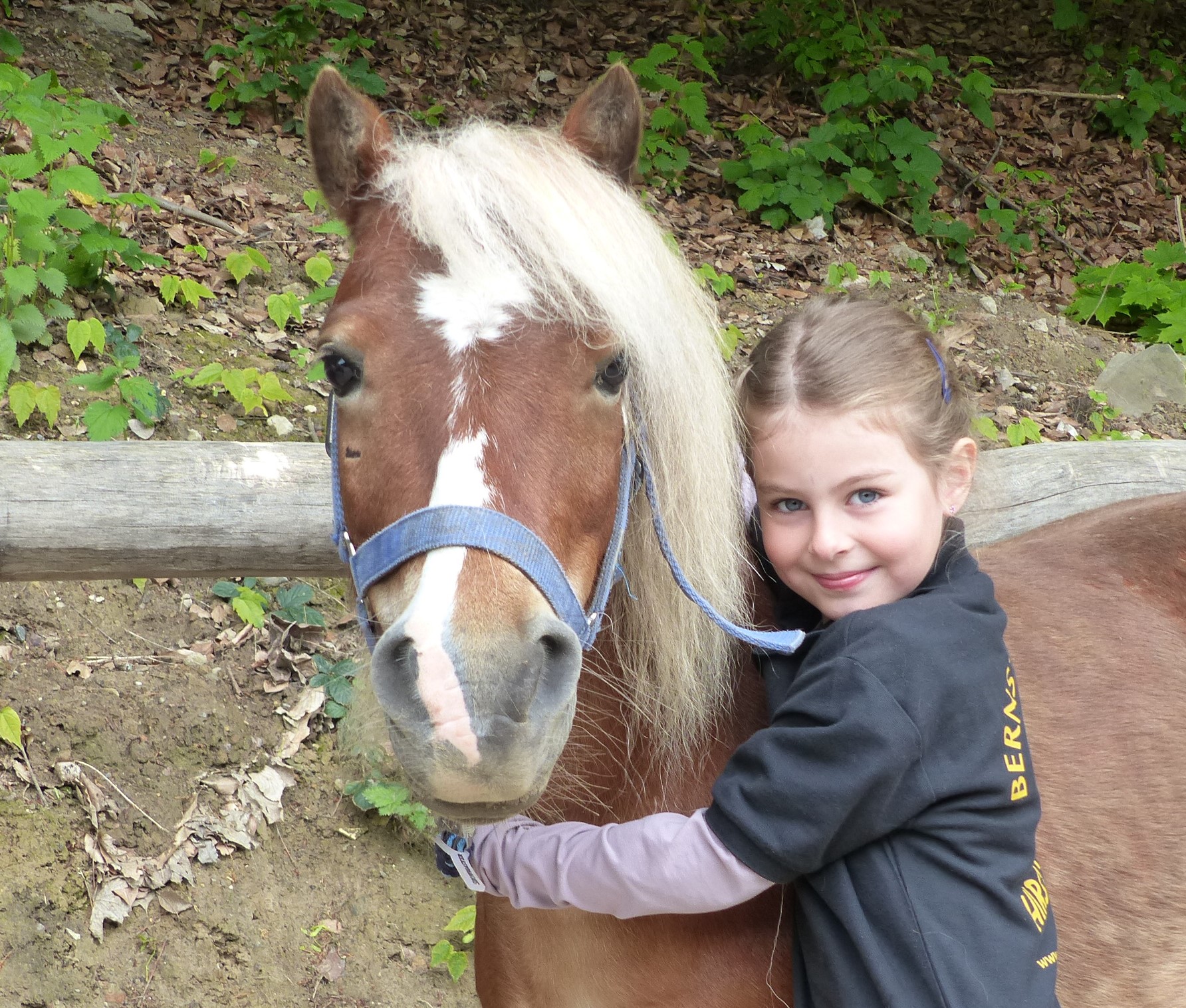 Ponyabenteuer in Barth